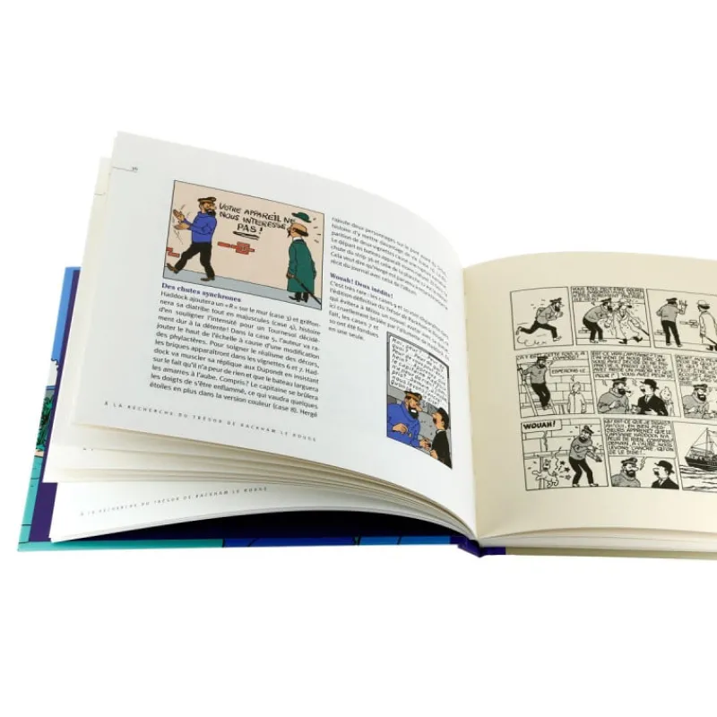 a_la_recherche_du_trsor_de_rackham_le_rouge_2.webp Shop A la recherche du trésor de Rackham le Rouge Monografieën