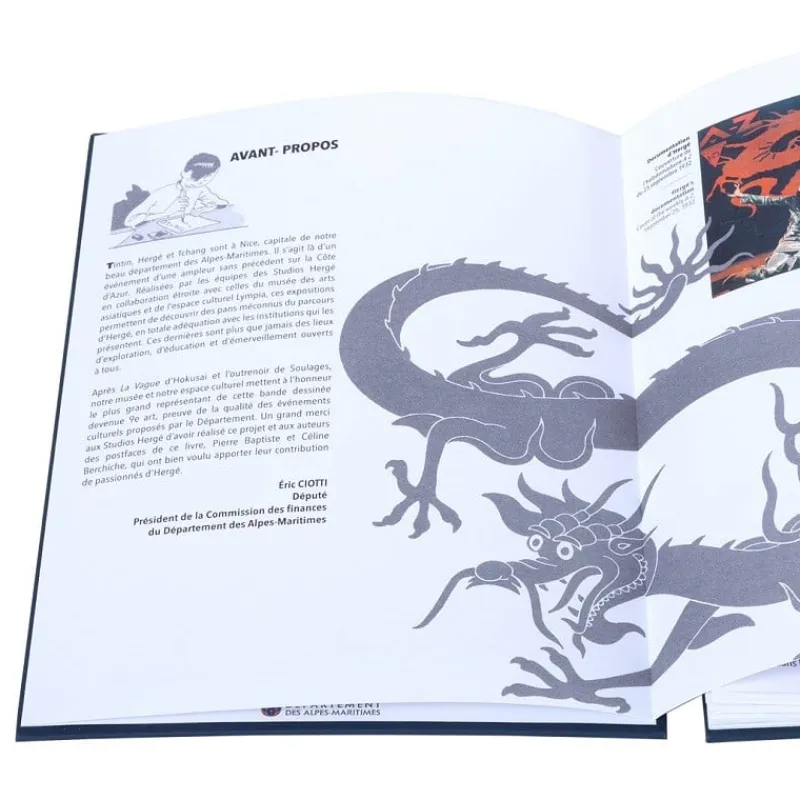catalogustentoonstelling_herg_nice_1.webp New Catalogus-Tentoonstelling Hergé Nice Monografieën