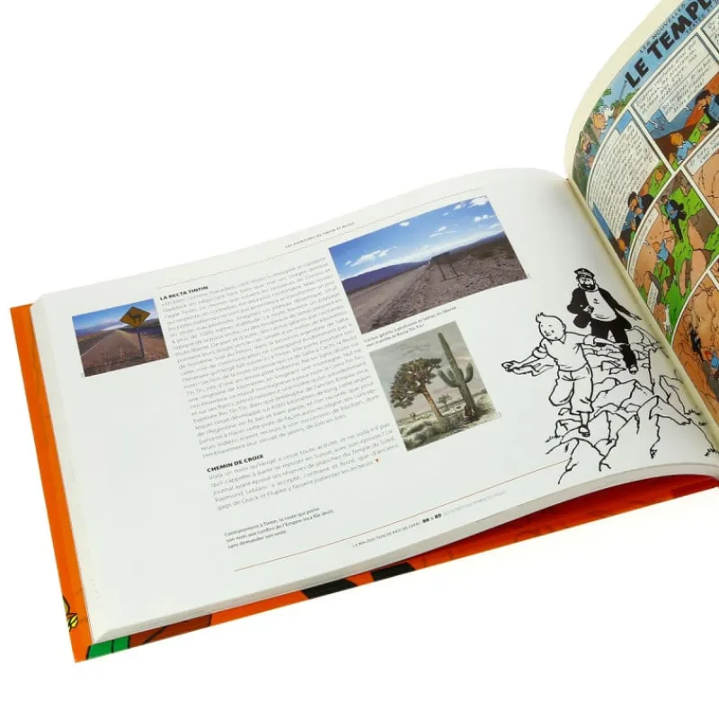 la_maldiction_de_rascar_capac_4.webp Flash Sale La Malédiction de Rascar Capac Monografieën