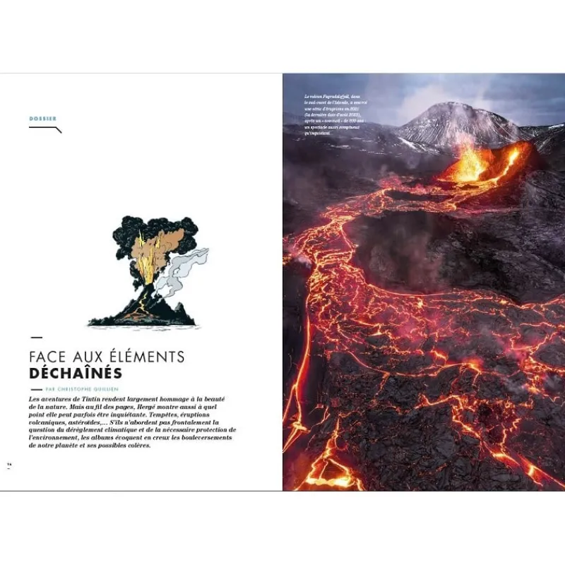 tintin_cest_laventure__n_4.webp Online Tintin, c'est l'Aventure - N°22 Geo Mag