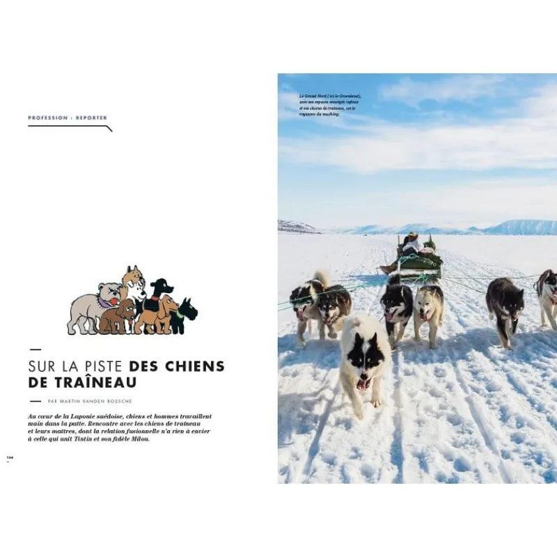 tintin_cest_laventure__n_6.webp Online Tintin, c'est l'Aventure - N°22 Geo Mag