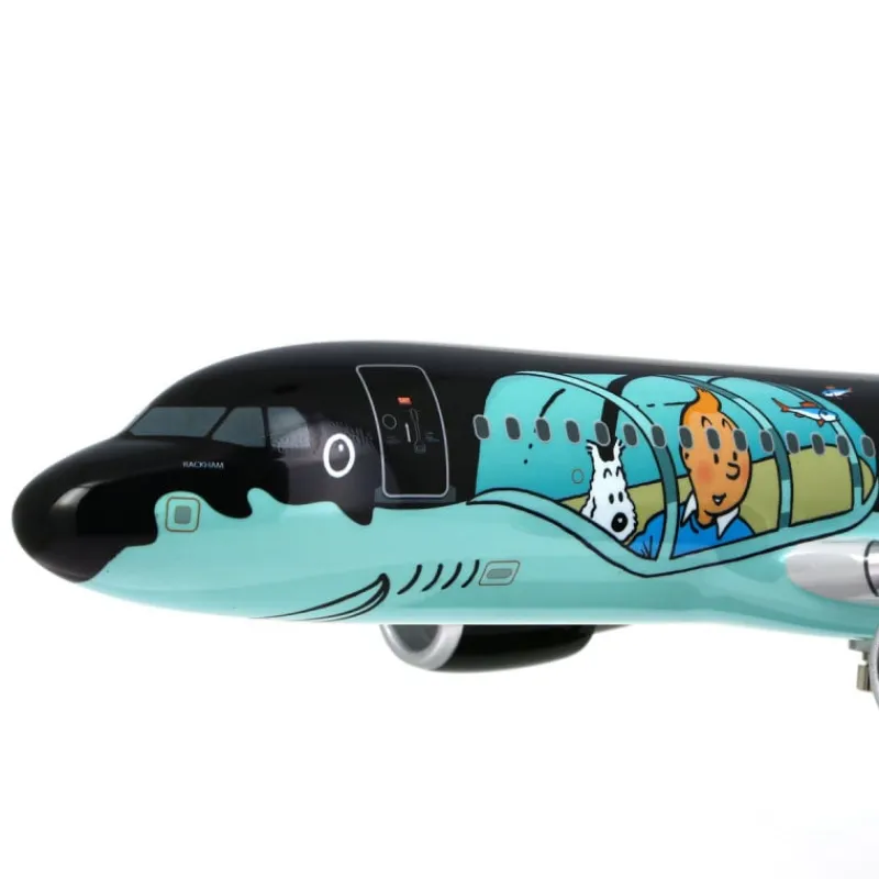 vliegtuig_rackham_sn__a_ste_3.webp Clearance Vliegtuig Rackham SN - A320 1:100ste Vliegtuigen